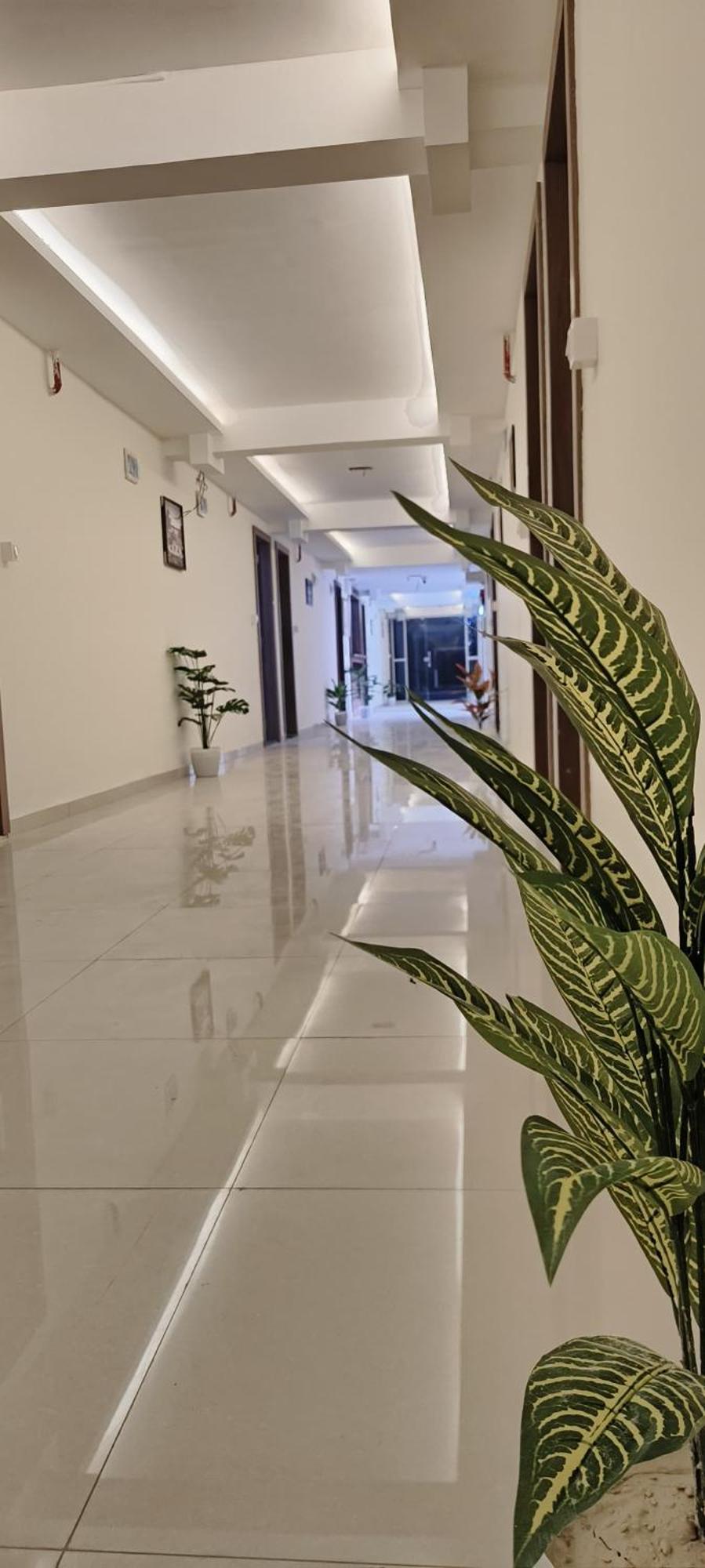 Hotel Royal Night Daman Zewnętrze zdjęcie
